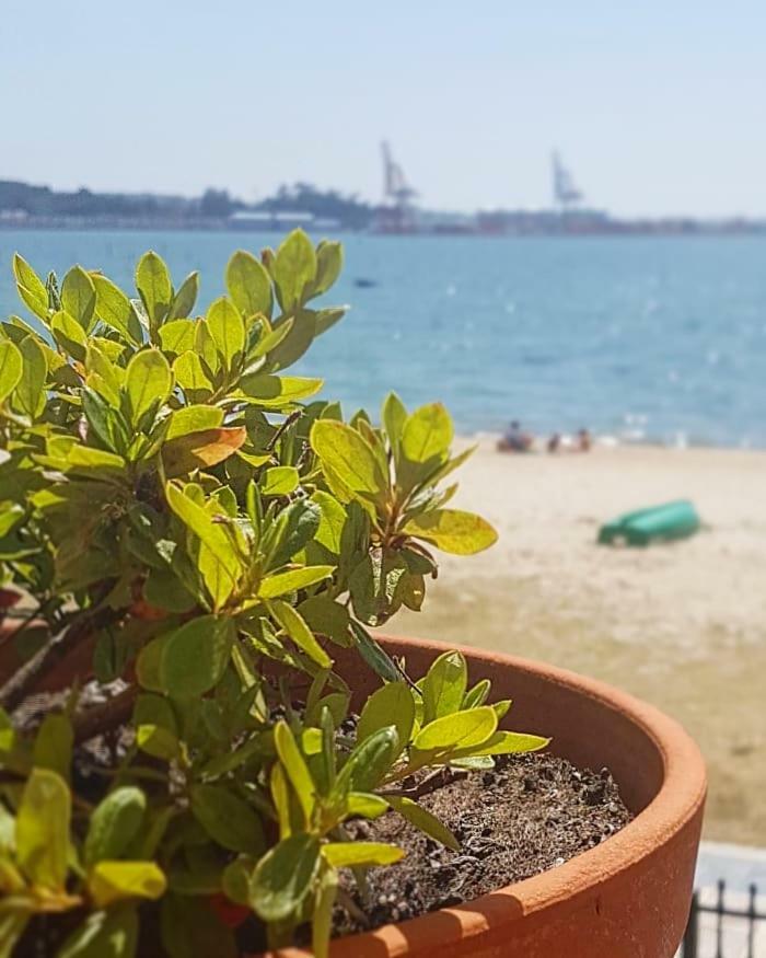 Casa Villa Vilagarcia de Arousa Zewnętrze zdjęcie